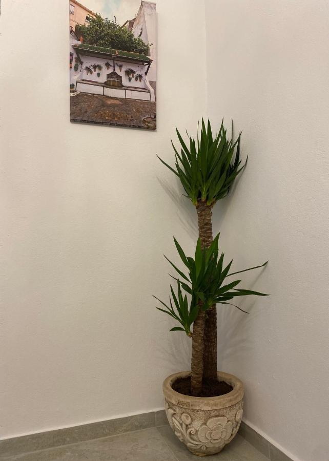 Suites Benalup Centro מראה חיצוני תמונה